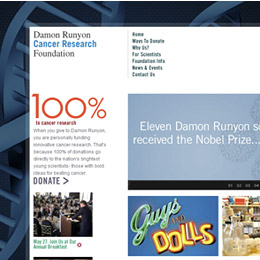 Damon Runyon Cancer Institute